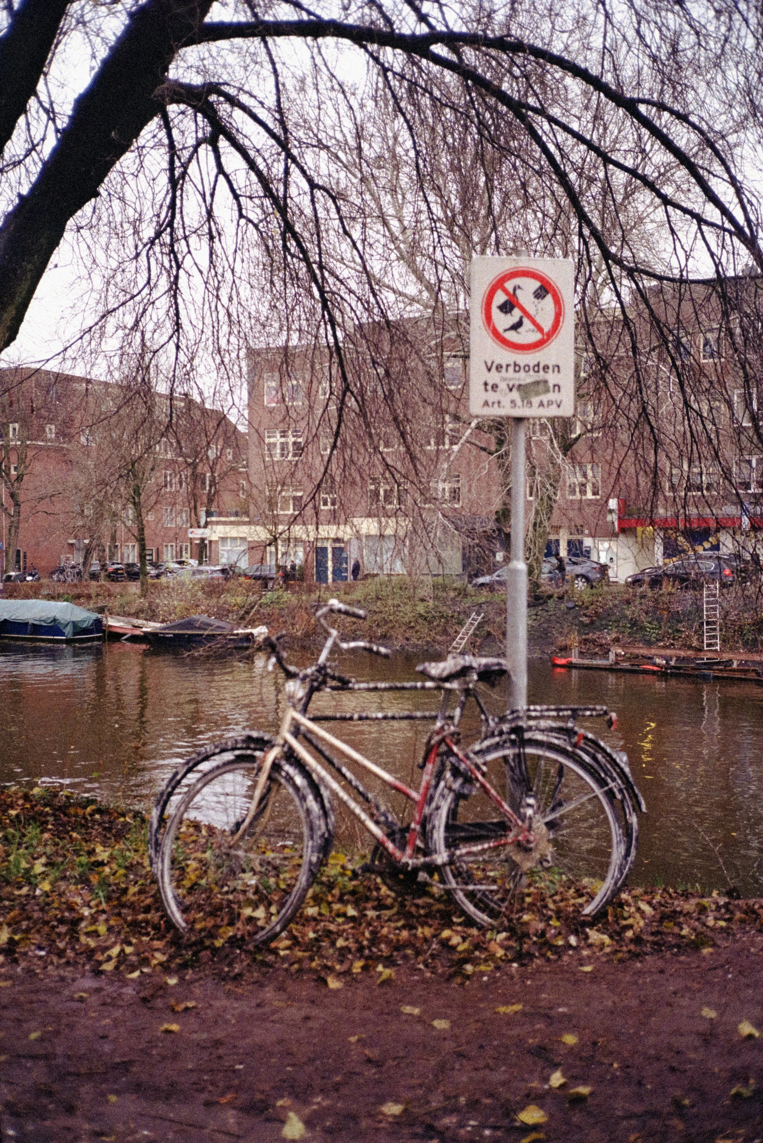 Bicycles parked near a river with boats on the water, leafless trees, and residential buildings in the background, with a sign indicating no dog walking.