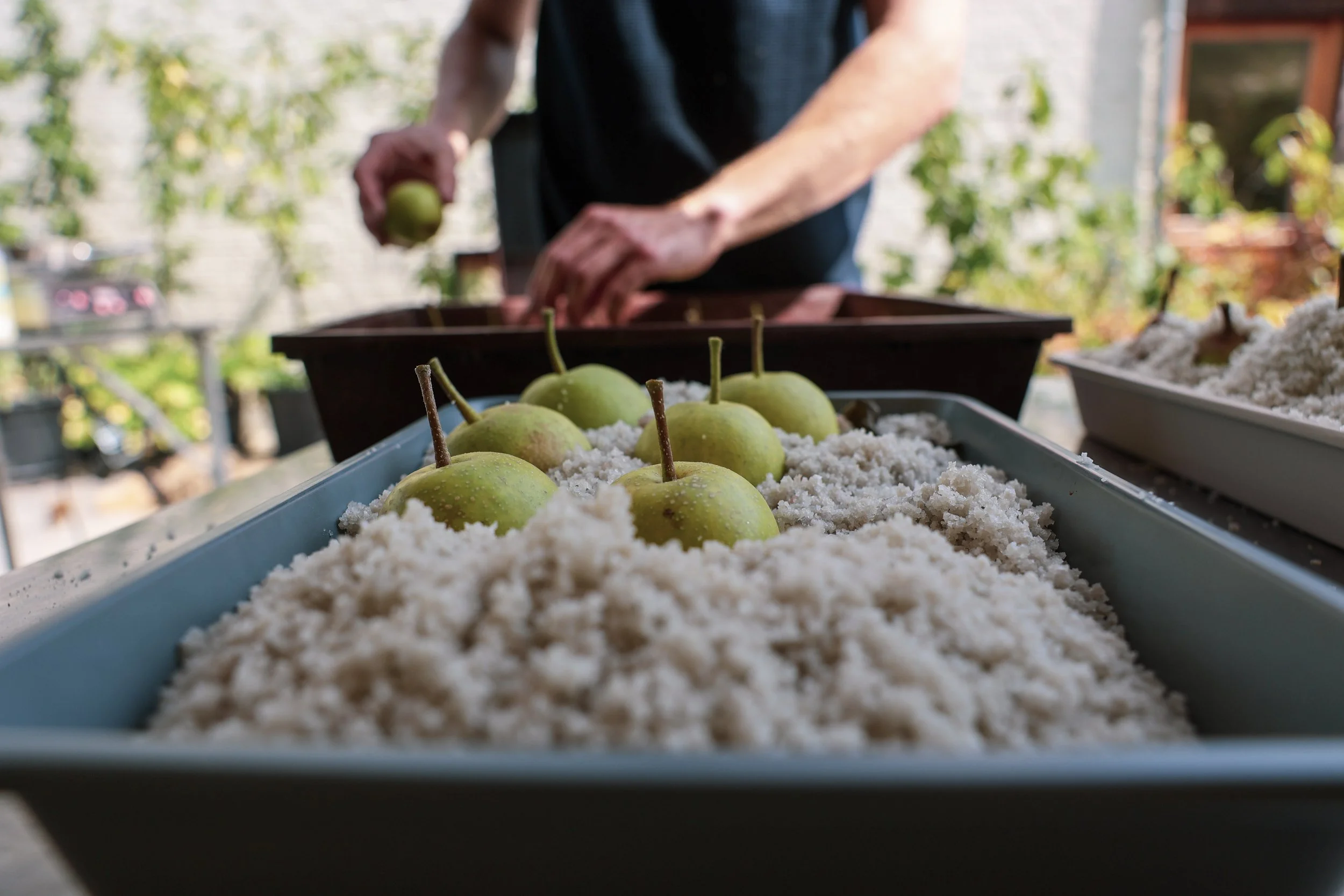Shift Catering – Bereiding nachiperen zoutkorst – voedselbos Zomersmaak – Sander Bautmans