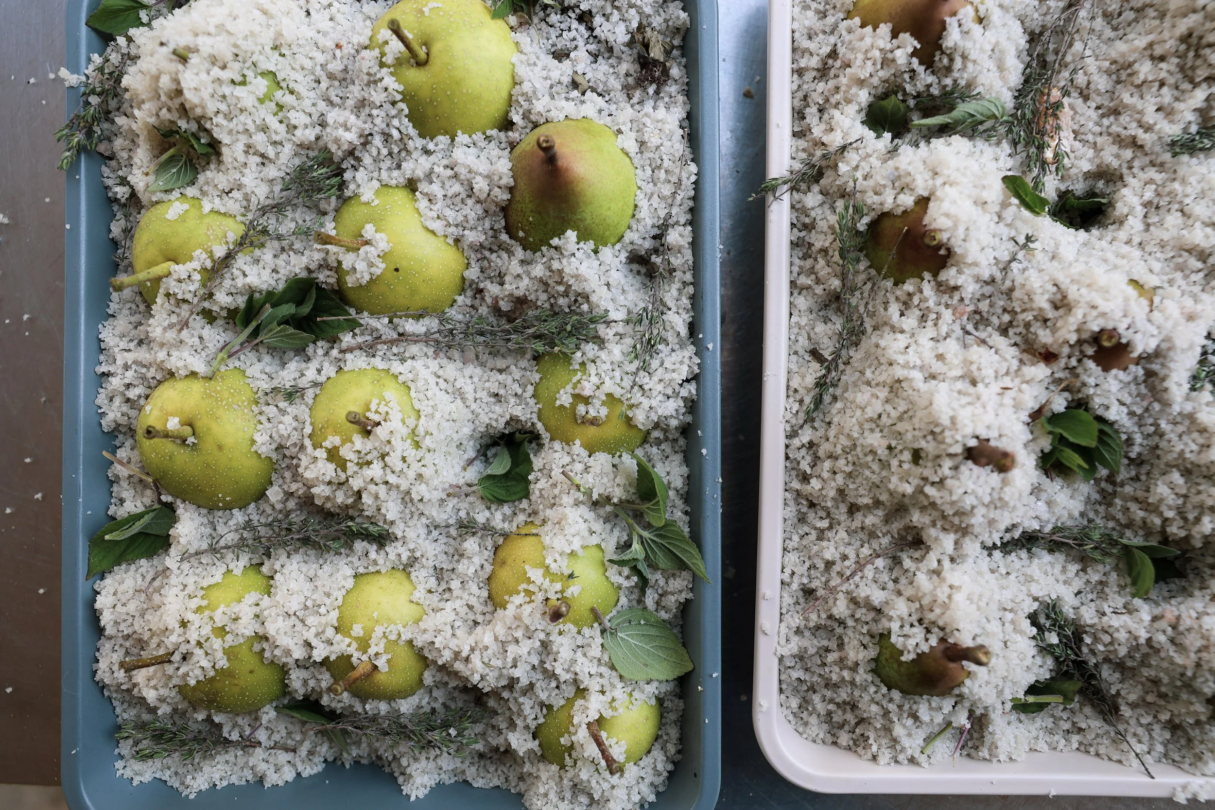 Shift Catering – Nachiperen klaar voor ovun – voedselbos Zomersmaak – Sander Bautmans