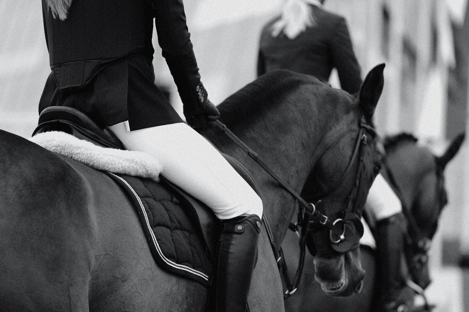 Jewellery Collection