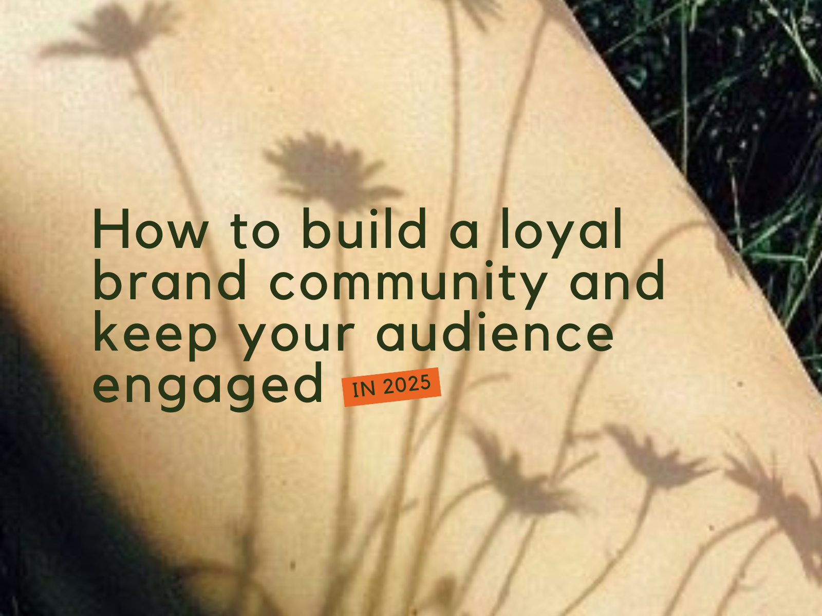 How to Build a Loyal Brand Community and Keep Your Audience Engaged