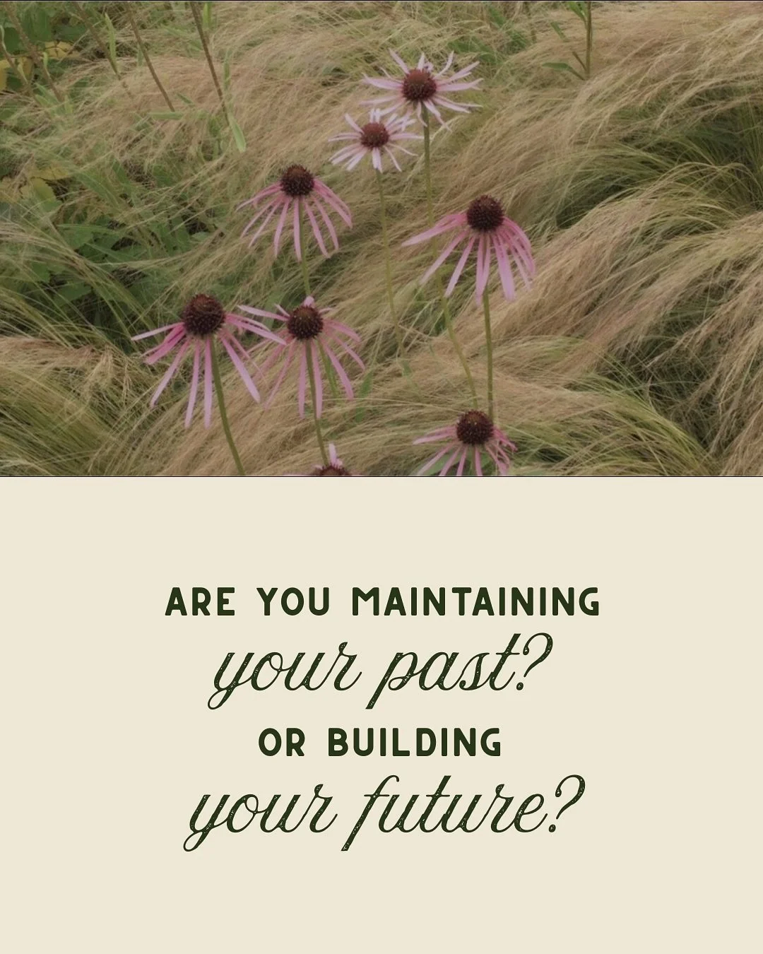 it’s so easy to get stuck, but to make true progress, you need to start somewhere. 🌀
Brands that grow sustainably don’t just maintain, they evolve. They invest in clarity, positioning and forward-thinking strategy. That’s how you