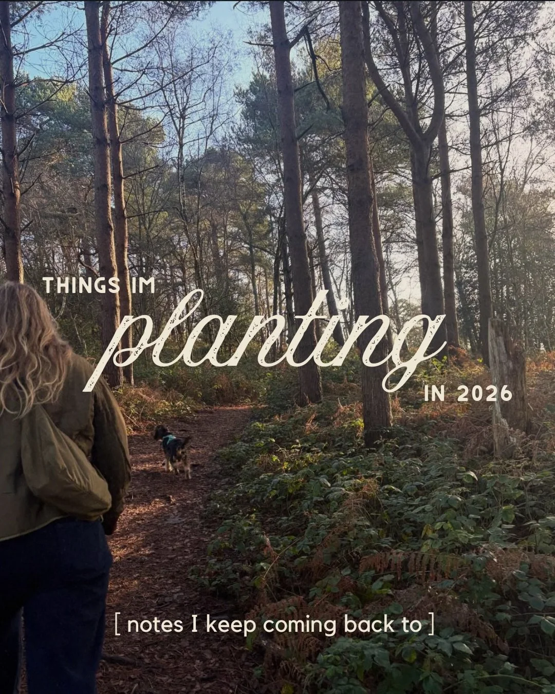I&rsquo;ve been thinking a lot about 2026 lately, not in a &ldquo;five-year plan&rdquo; way, but in a what am I quietly tending to right now? kind of way.

Not goals.
Not pressure.
Just intentions.

Because the businesses that grow well rarely rush.
