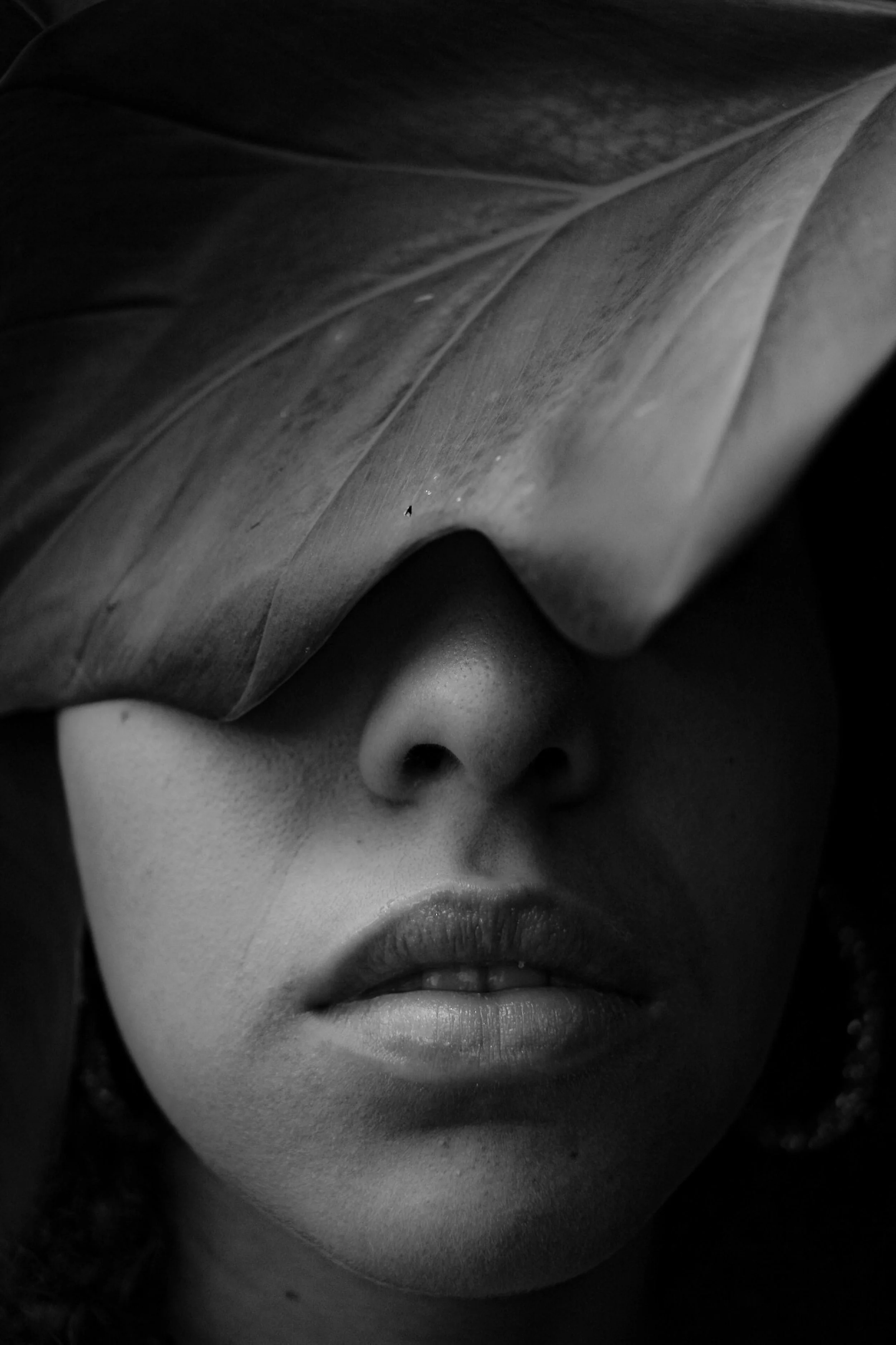 Intuition is not what you think it is. 