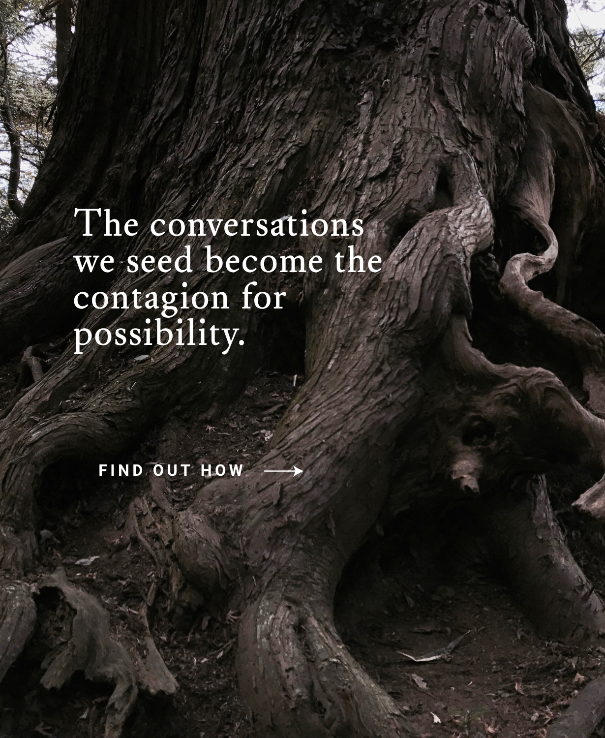 conversations we seed.png