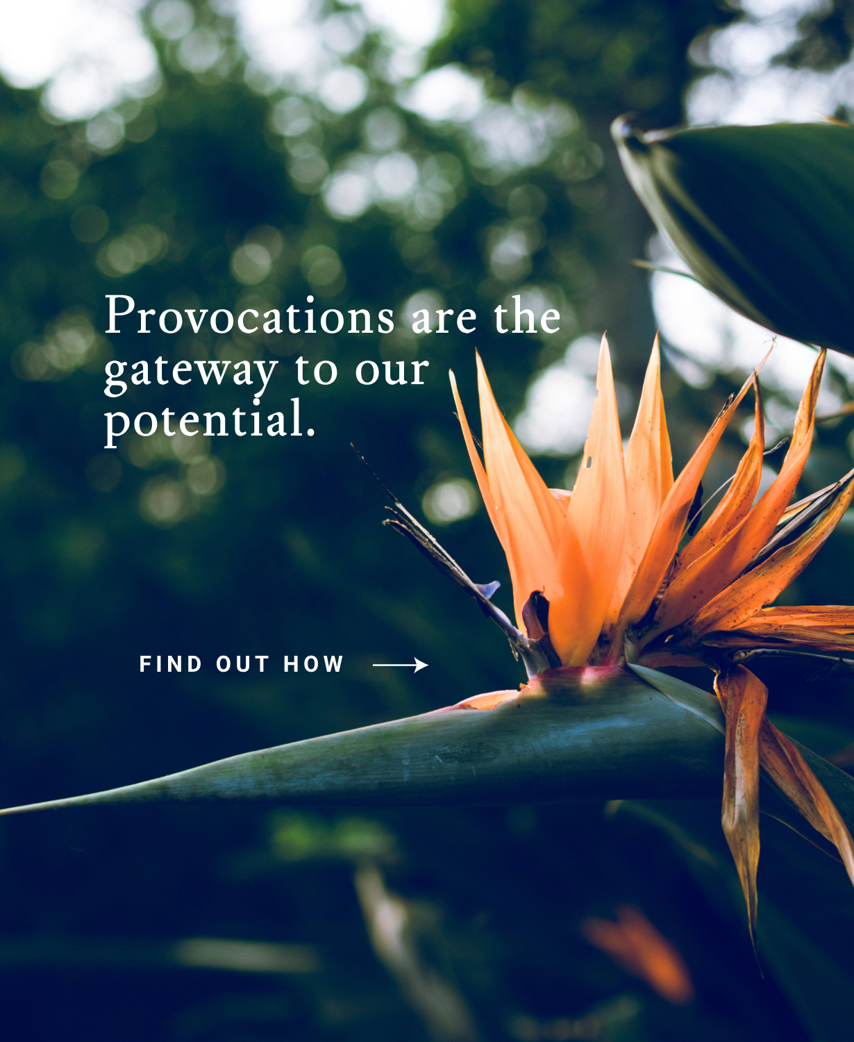 Provocations gateway.png