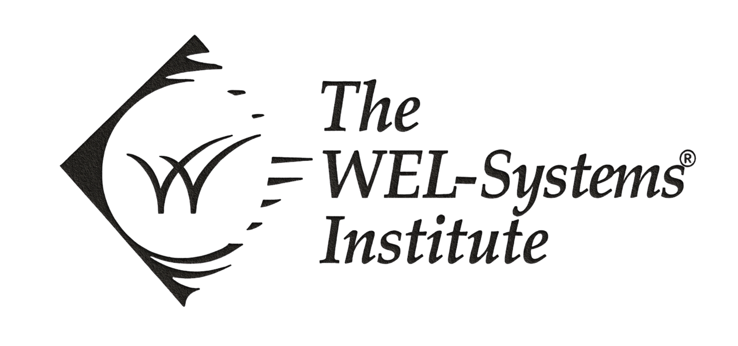 The WEL-Systems Institute