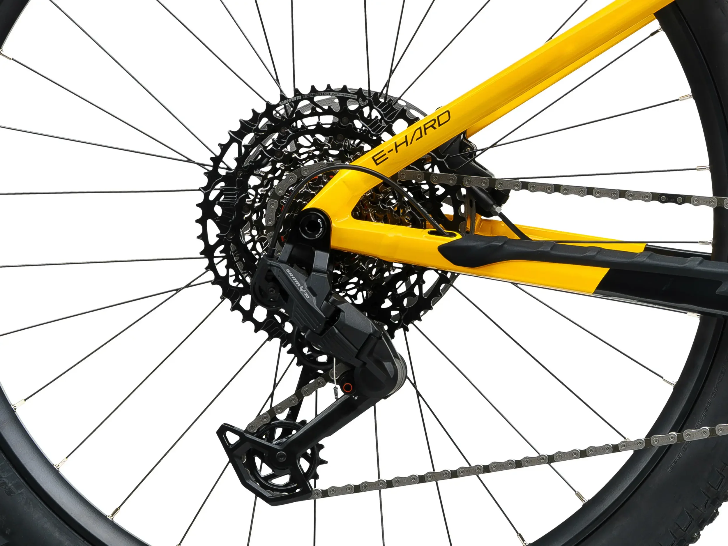 e07-2.2662943163.webp (Kopie)