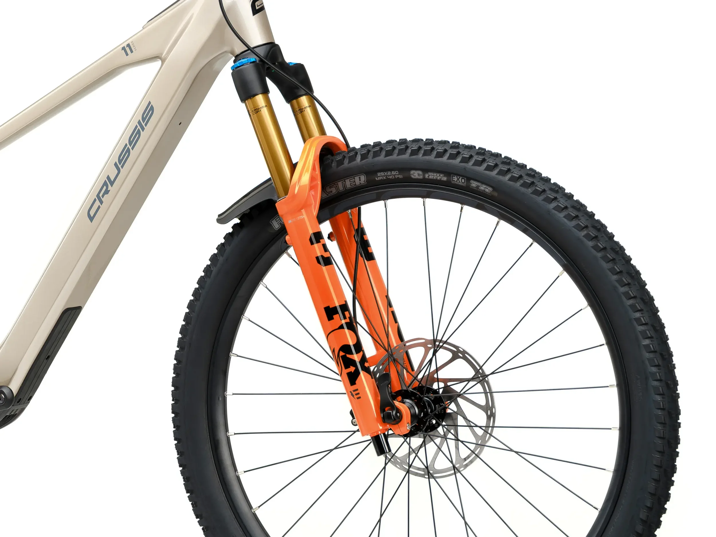 d04-2.2662943163.webp (Kopie)