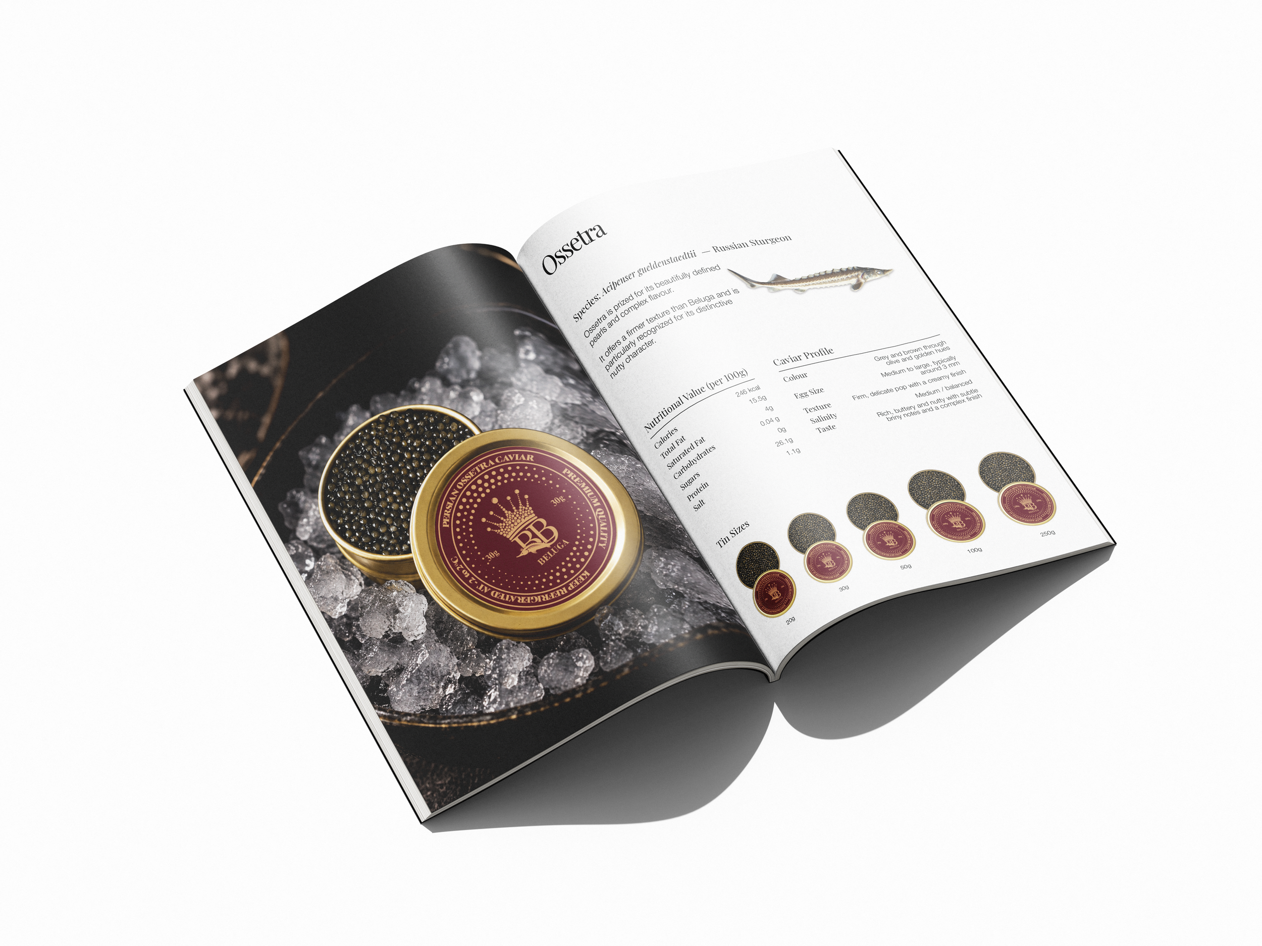 booklet-7.png