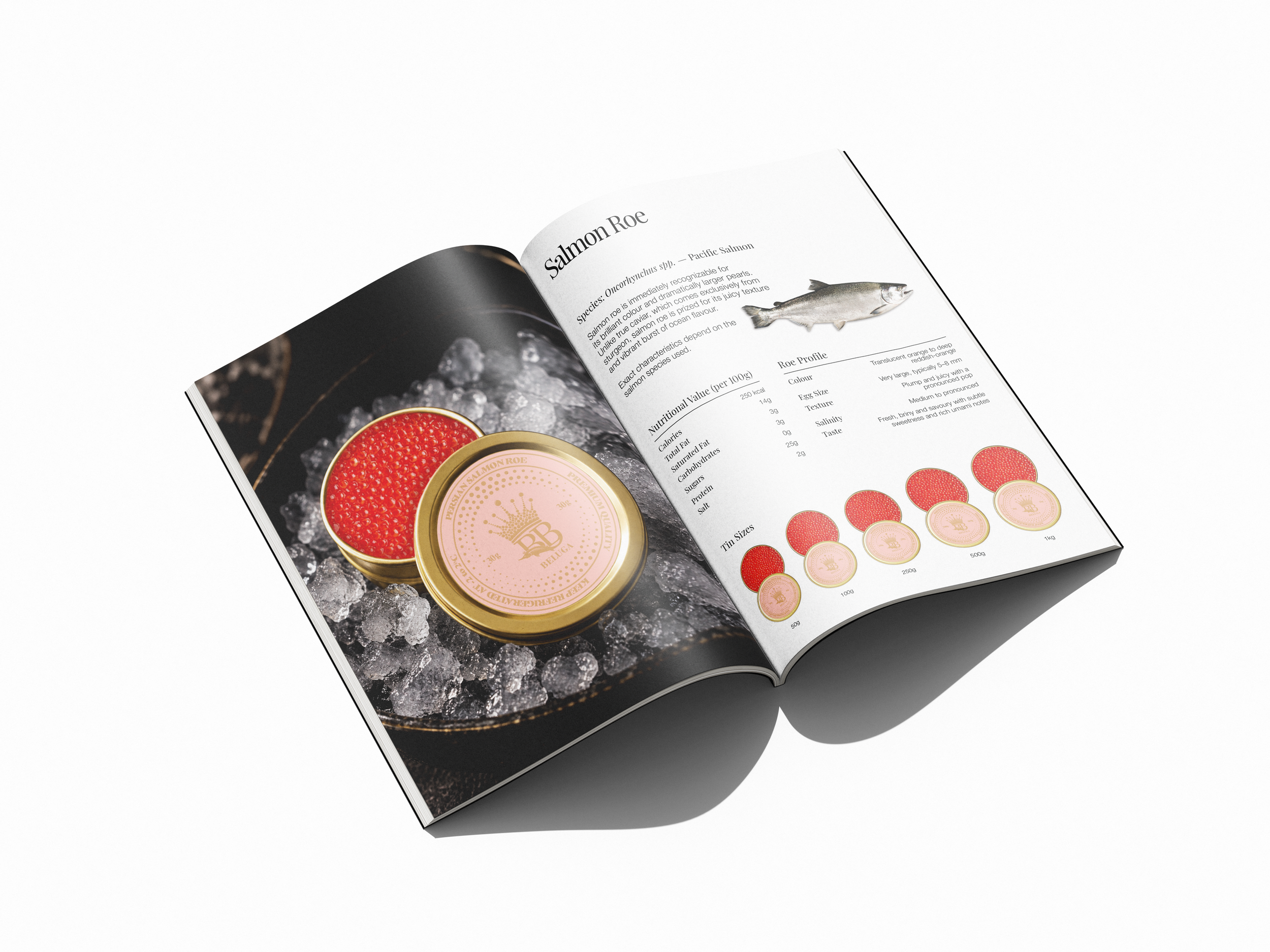 booklet-11.png