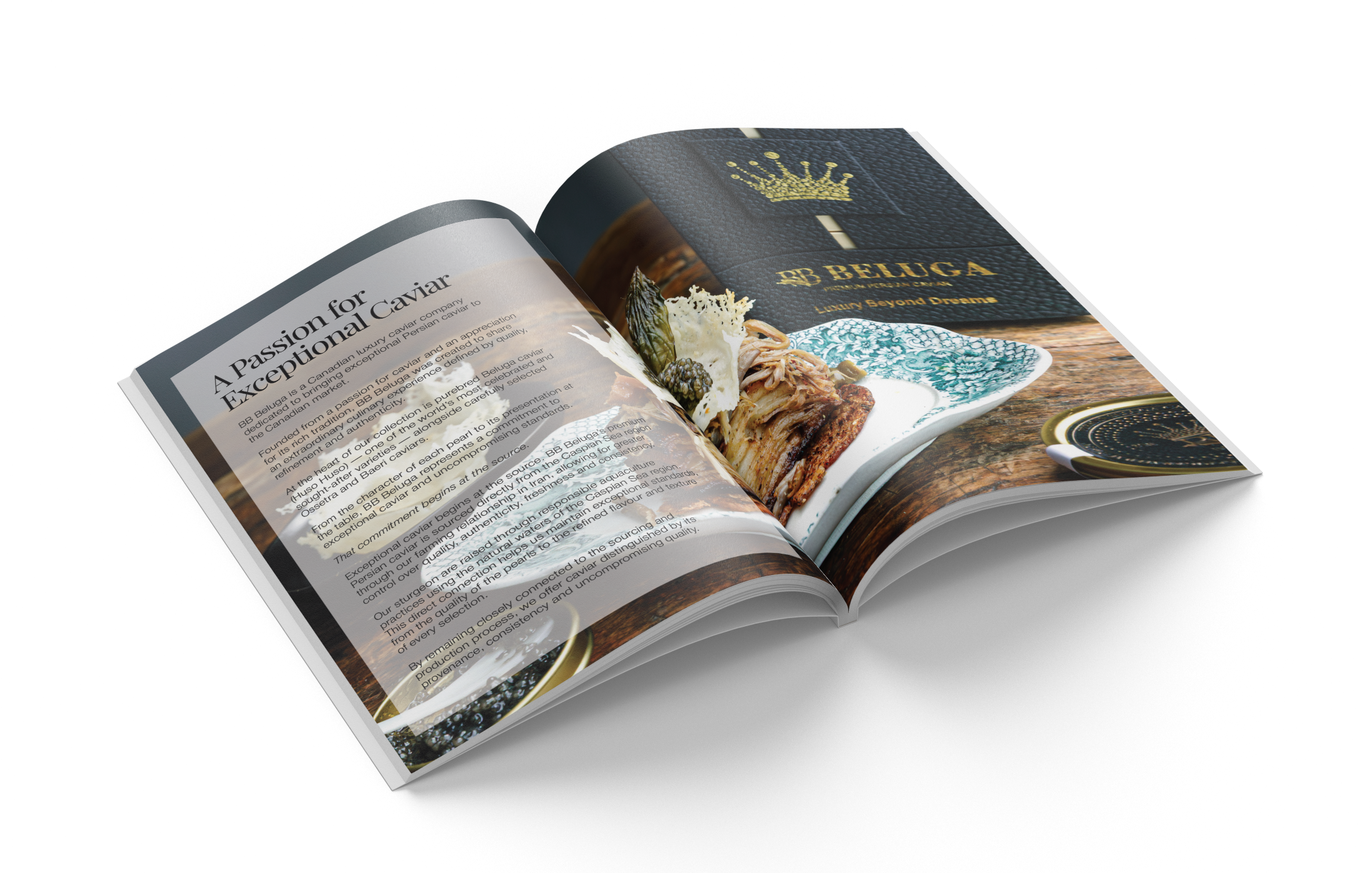 booklet-2.png
