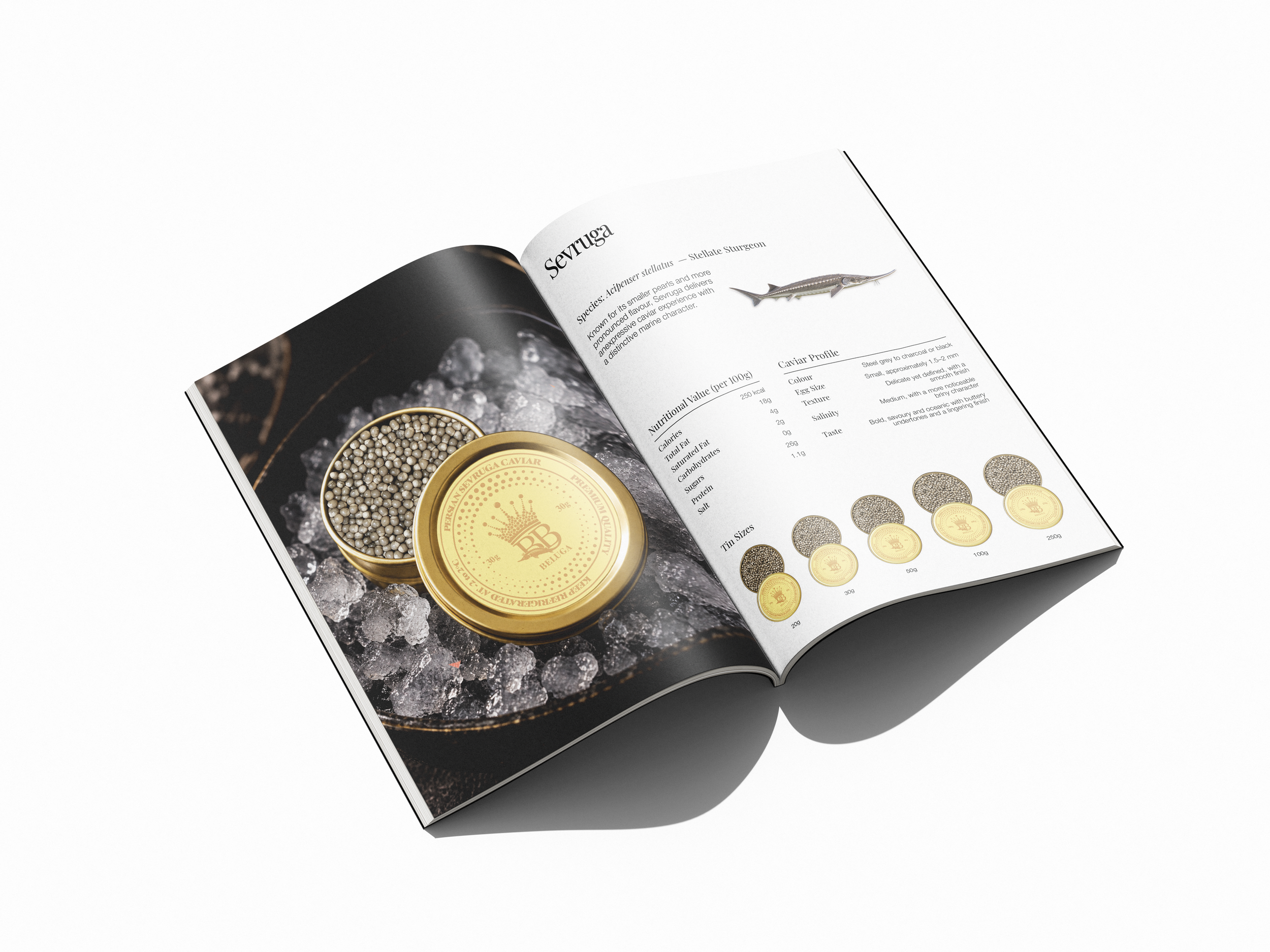 booklet-9.png
