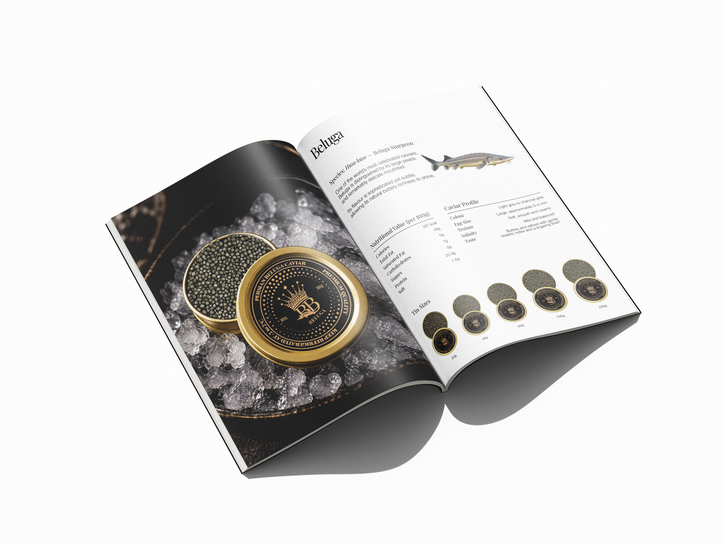 booklet-8.png