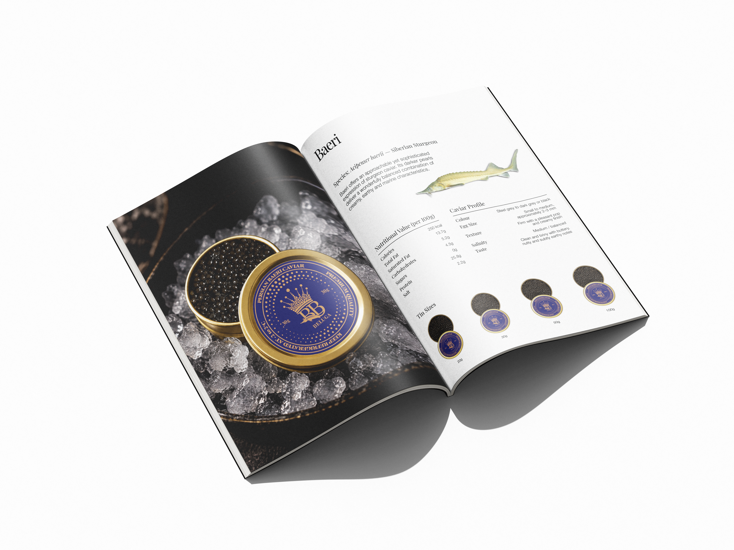 booklet-10.png
