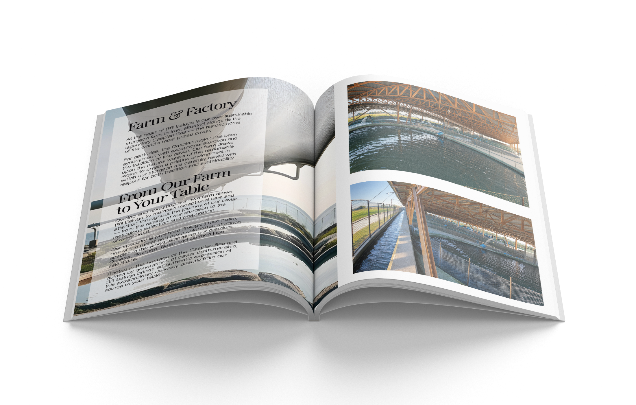 booklet-3.png