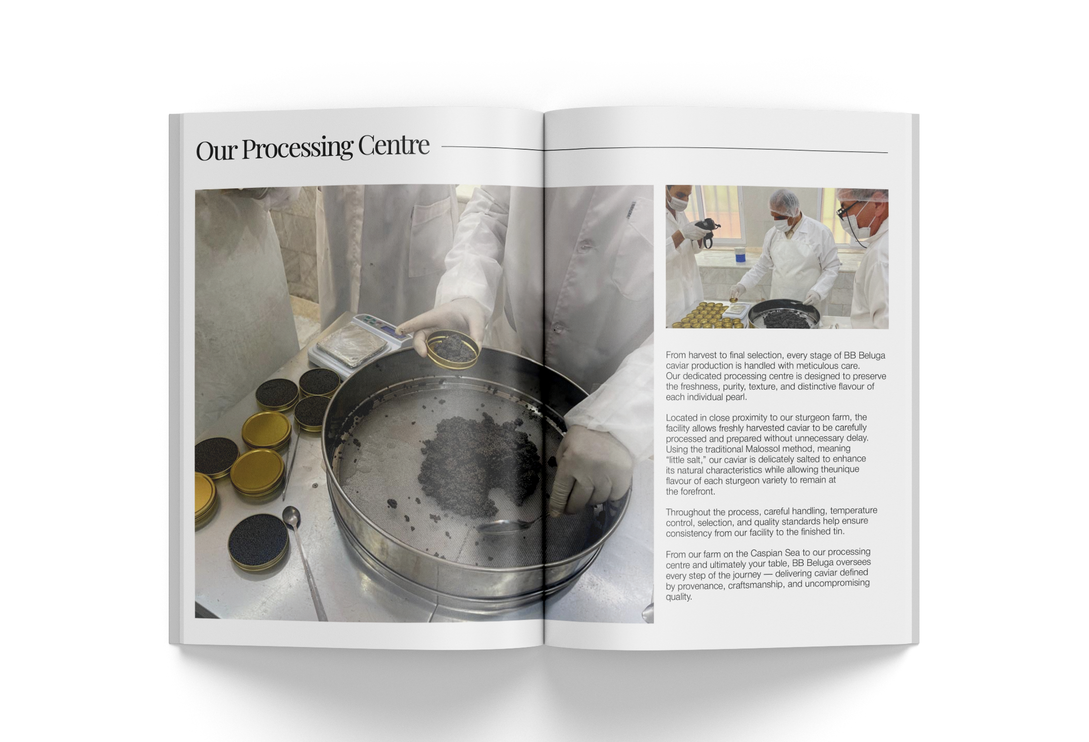 booklet-4.png