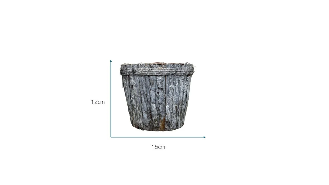 small bark.jpg