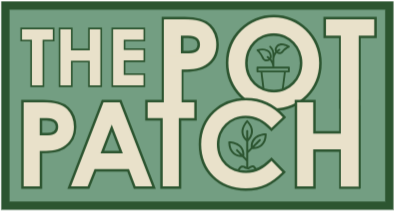Logo for The Pot Patch with a green border, featuring the text in large letters and small plant icons within the letters.