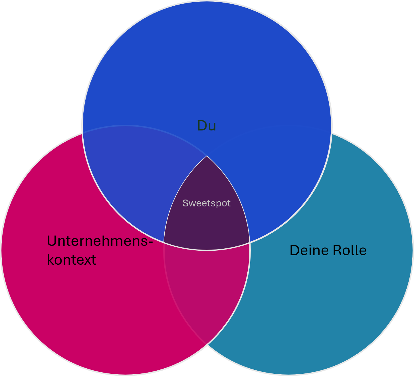 Venn-Diagramm mit drei Kreisen: 'Du', 'Unternehmenskontekt', 'Deine Rolle'; Schnittpunkte: 'Sweetspot' in der Mitte.