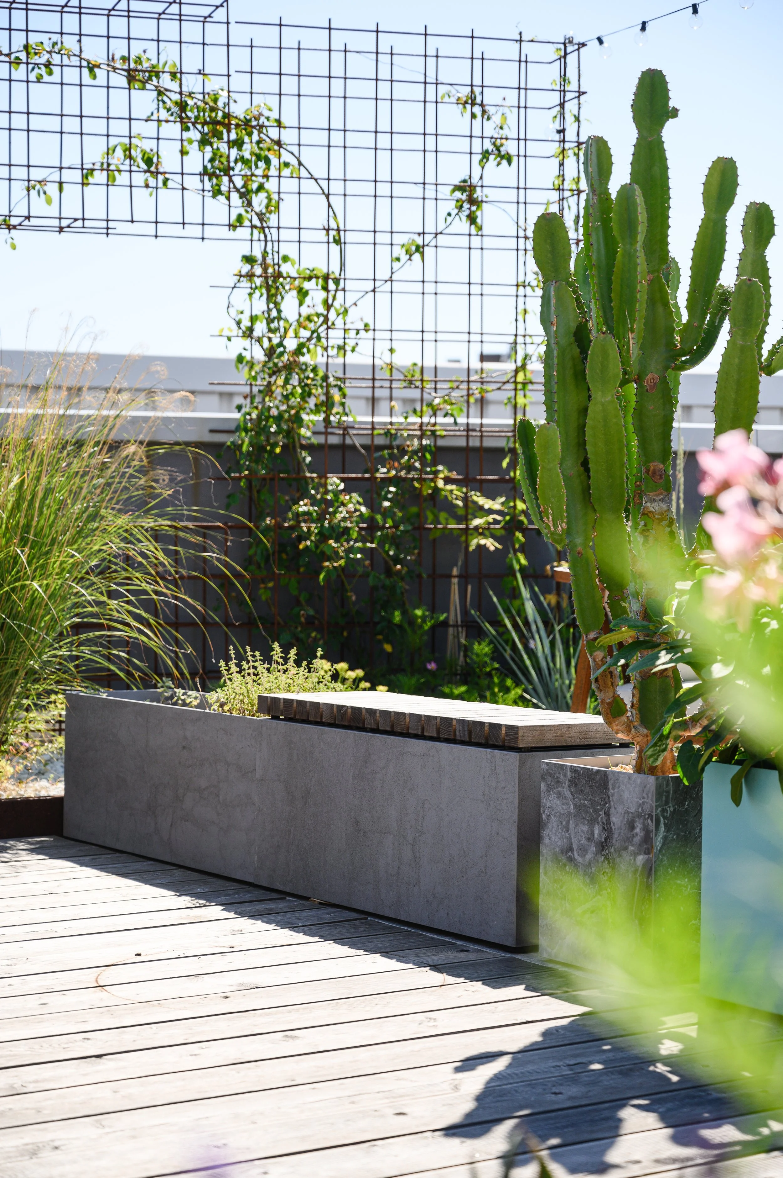 Ein Balkon mit Holzdecks, Pflanzen, einem großen Kaktus in einem blauen Topf, einem Pflanzkasten mit Stauden und einer Metall-Gittersperre im Hintergrund bei sonnigem Wetter.