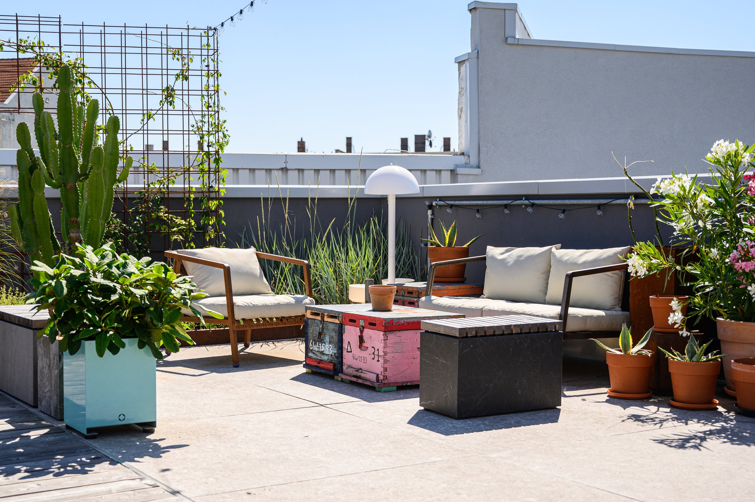 Ein moderner Balkon mit Sitzgelegenheiten aus Holz und Stoffkissen, umgeben von verschiedenen Topfpflanzen und Kakteen, mit einer weißen Stehlampe in der Mitte und einer Beleuchtung an der Balustrade bei sonnigem Himmel.