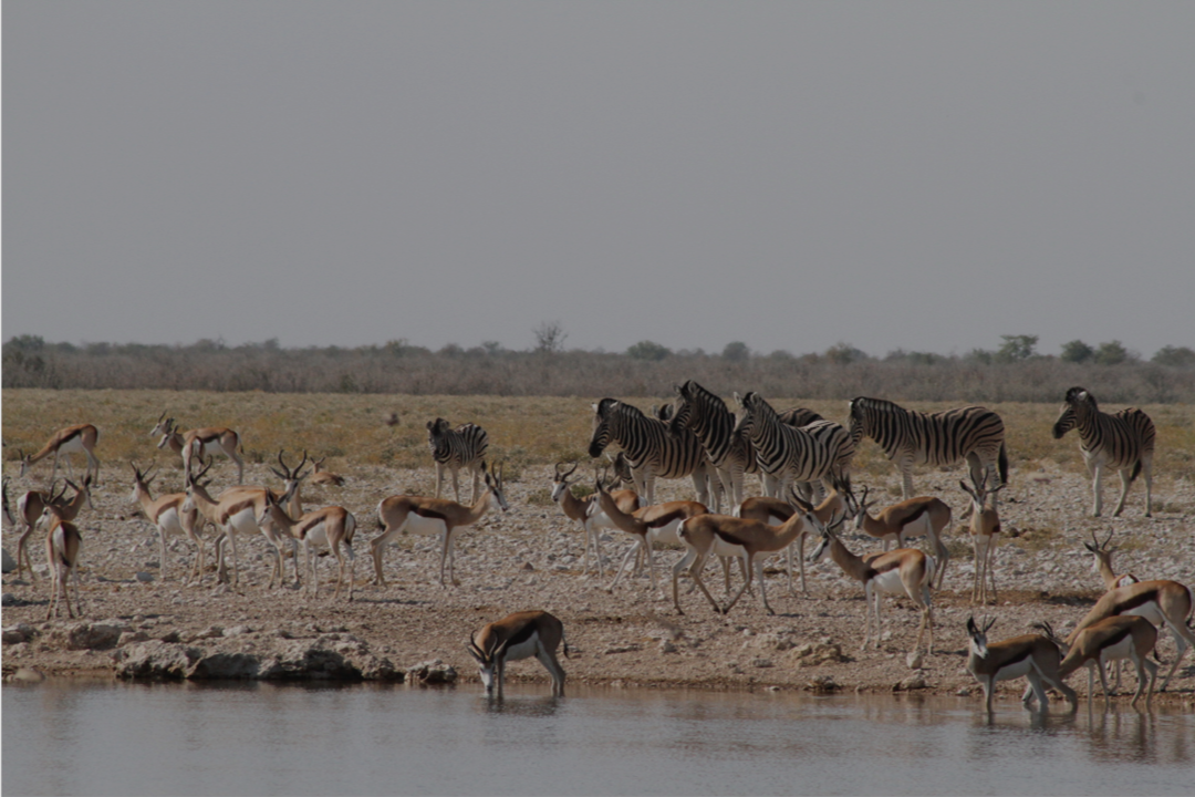 Wenn Veränderung gemeinsam gestaltet wird