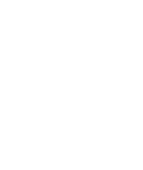 APaluos Illustrations