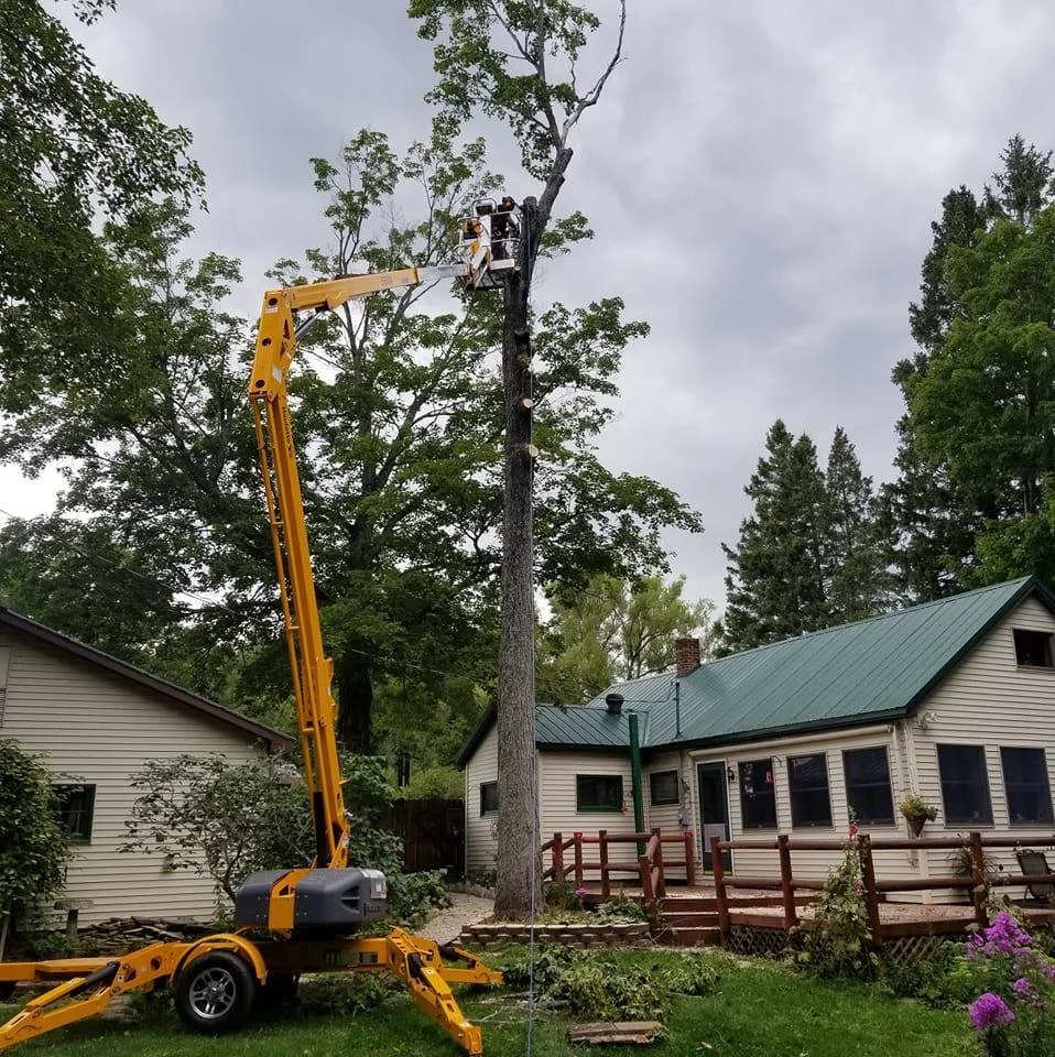 tree fallen onto barn 