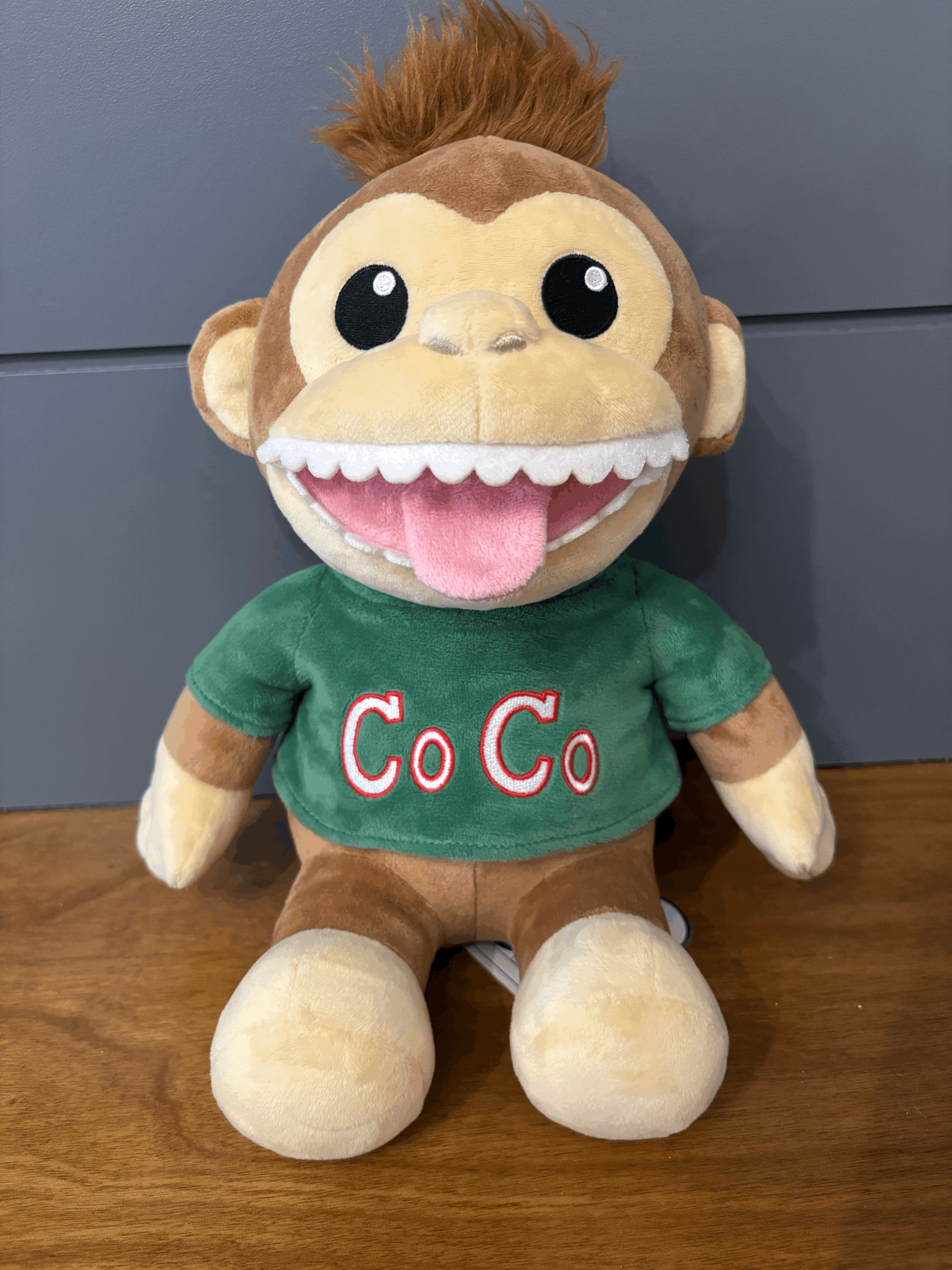 CoCo-prototype