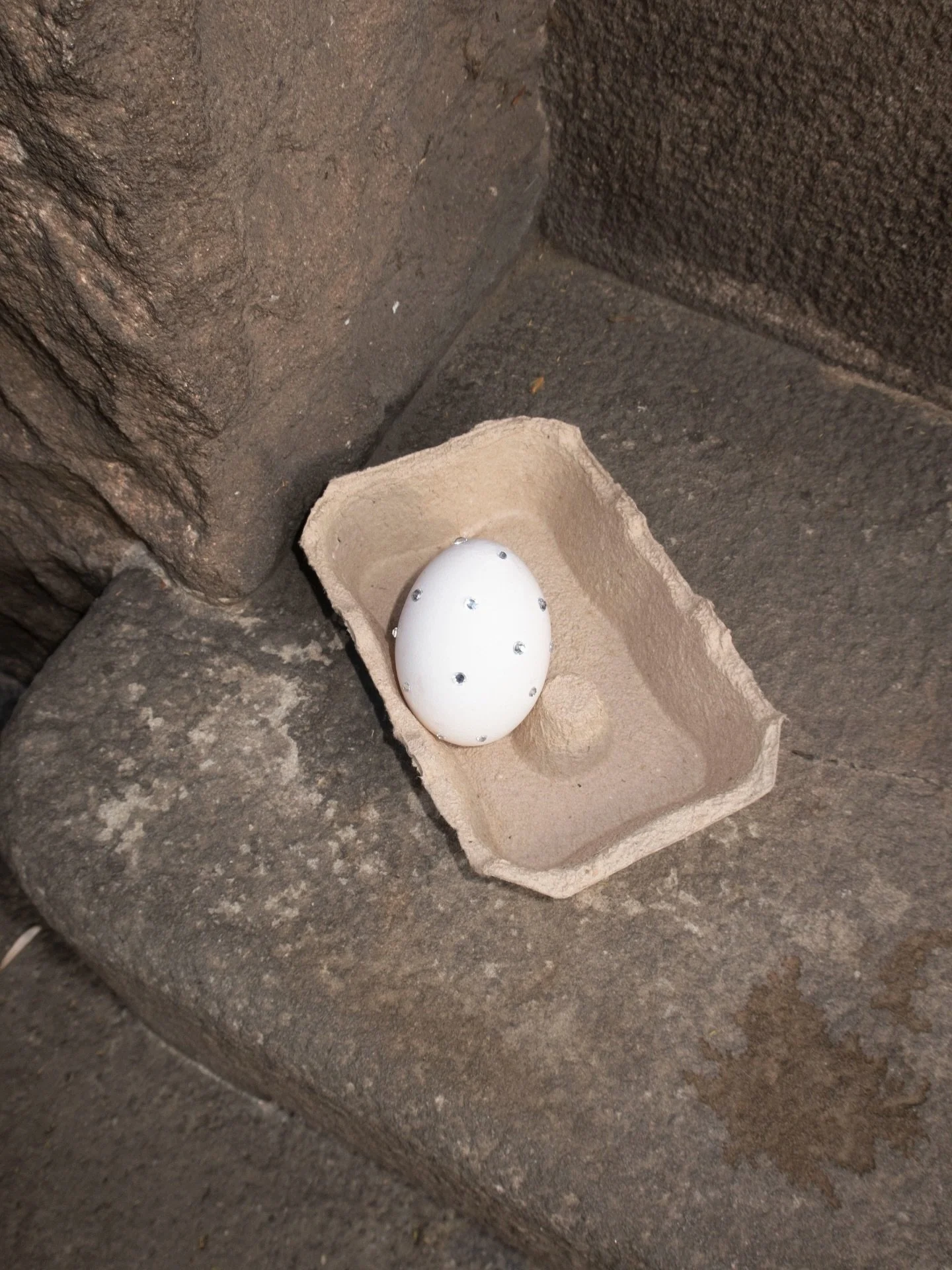 Easter Breakfast at Circl

From Friday, April 3 &mdash; 10:00
to Sunday
This weekend only

Simple, seasonal, and made to share.

Sourdough bread, whipped butter, eggs, cherry, cheese.
A little festive. Easter mood.

Come by.