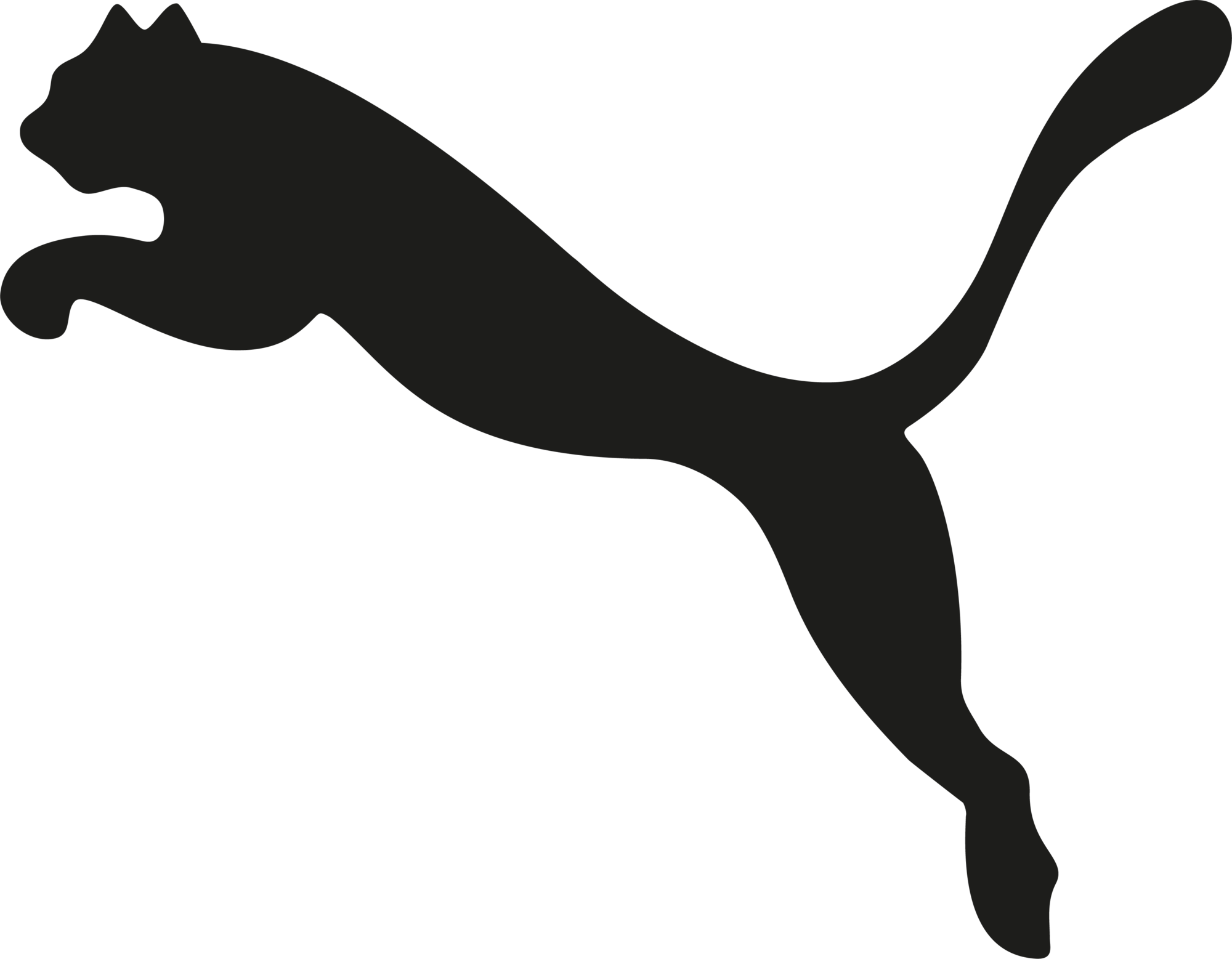 Puma logo, collaboration with Circl