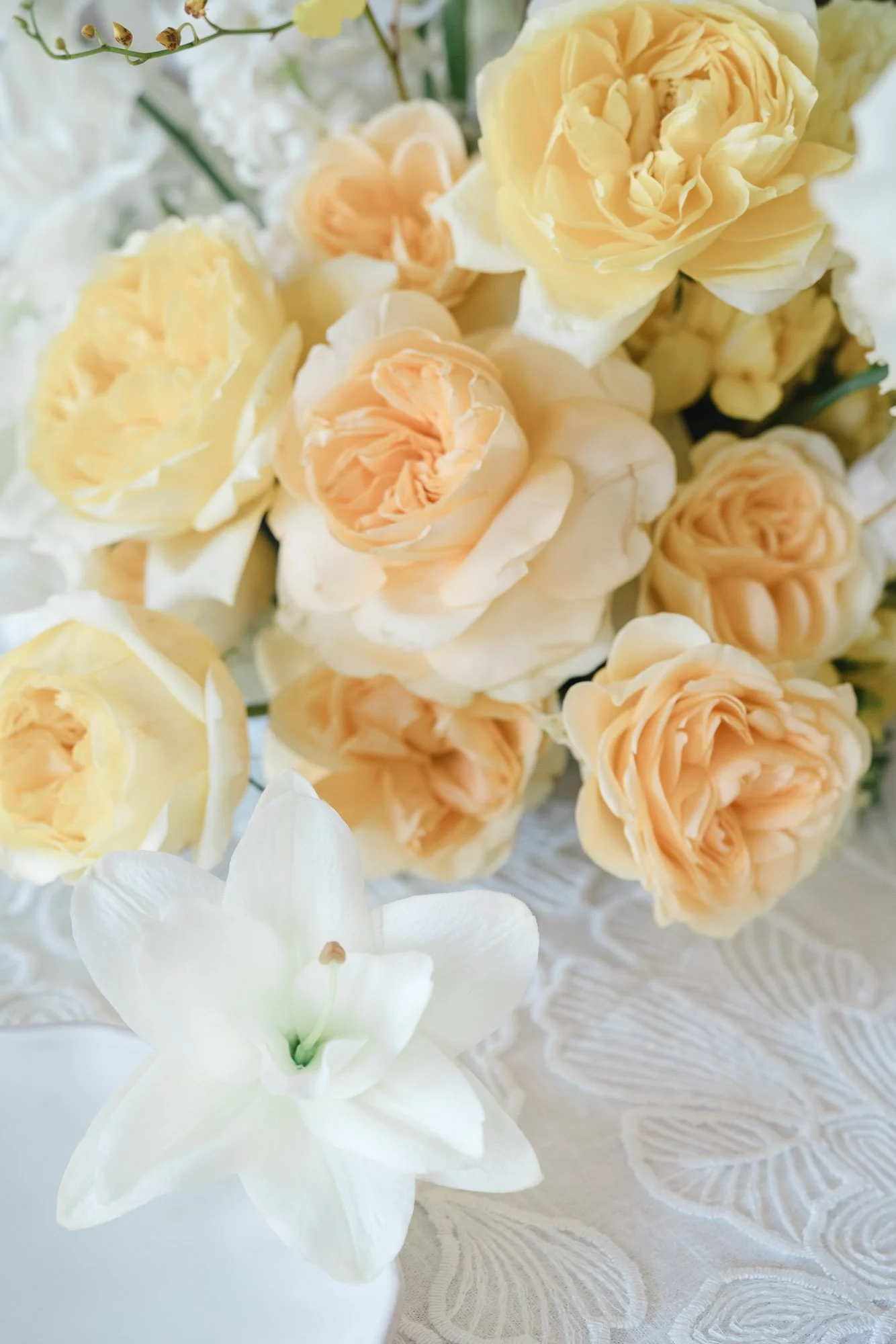 weddingphotographer_vienna_austria_Astrid Neumann -43.jpg