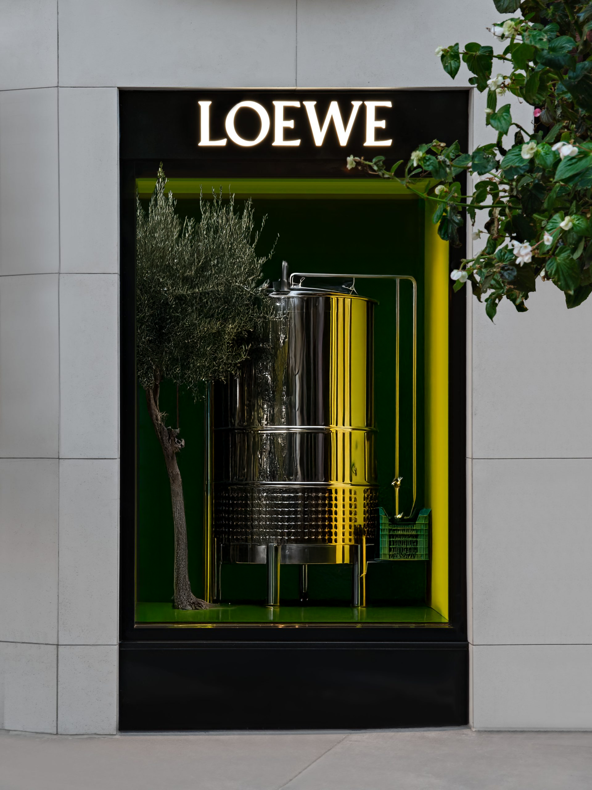 Loewe Display