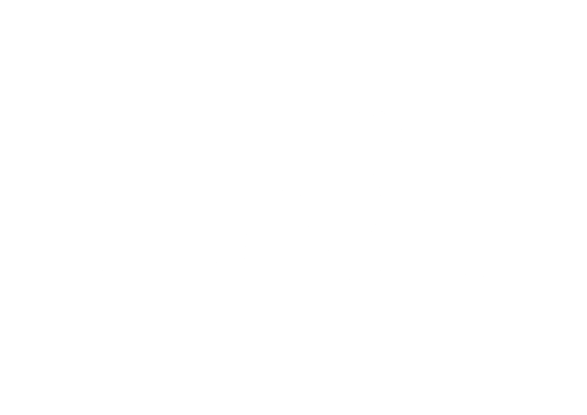 Noi logo