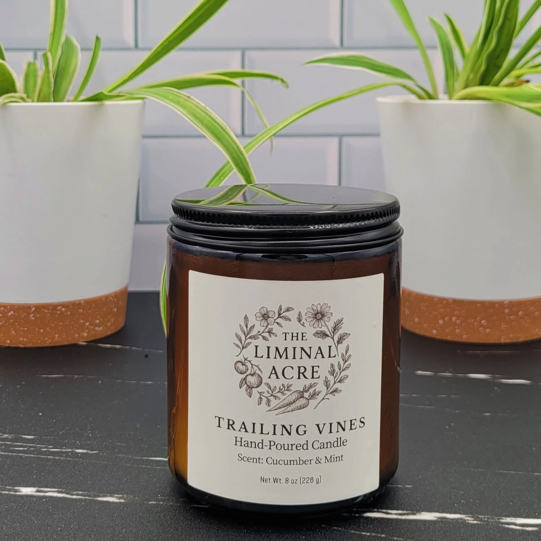 Trailing Vines 8oz Candle
