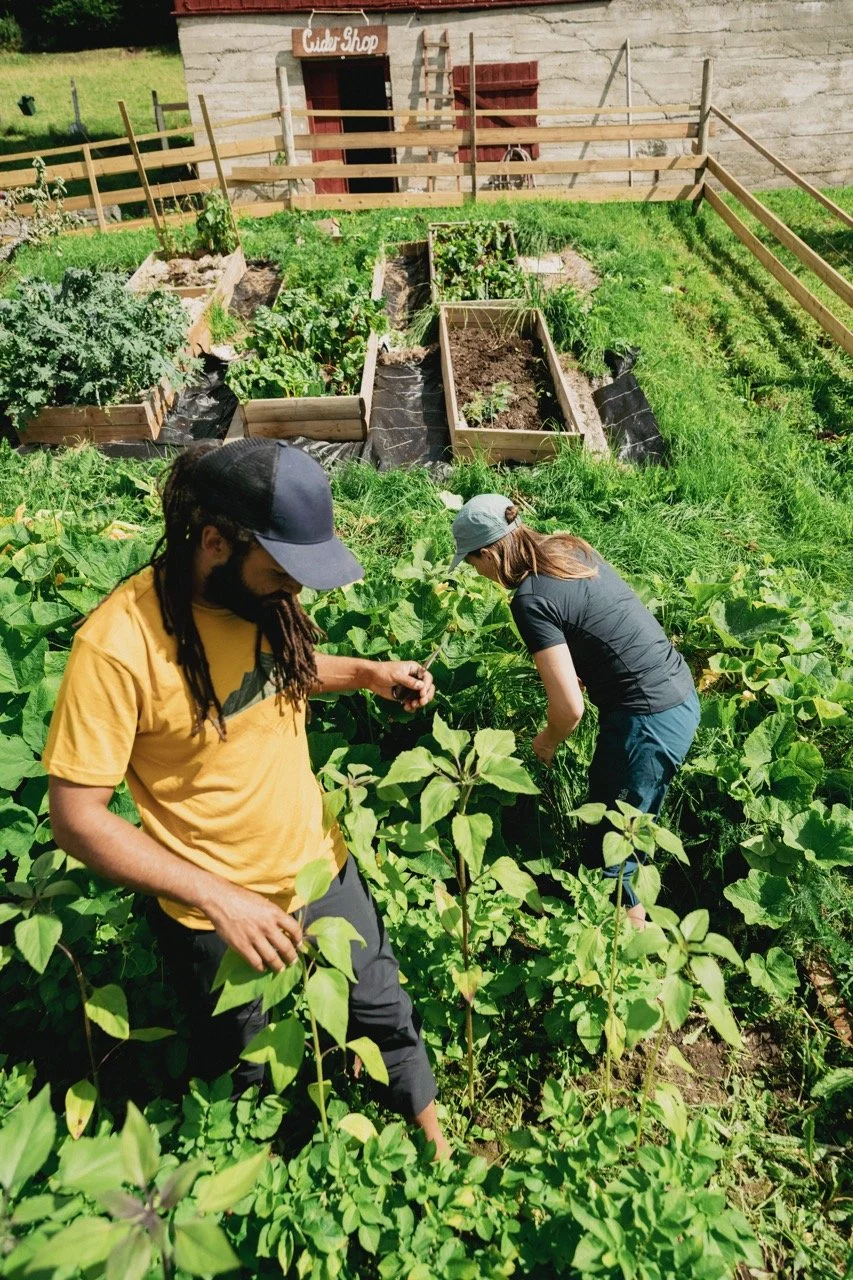 Hansi x Mountain - Anders Vest - EXP FEB27 (5) – stort.jpeg