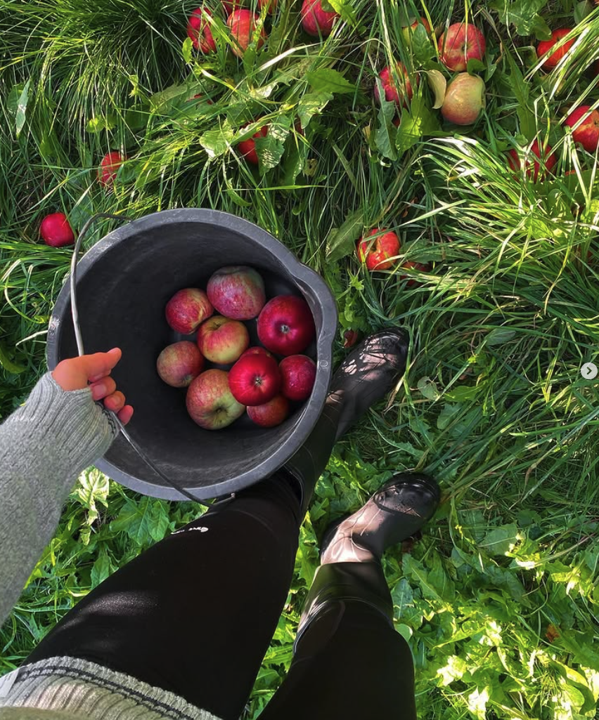 Skjermbilde 2025-07-02 kl. 12.27.55.png