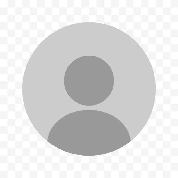 Placeholder avatar image silhouette of a person in gray on a transparent background.