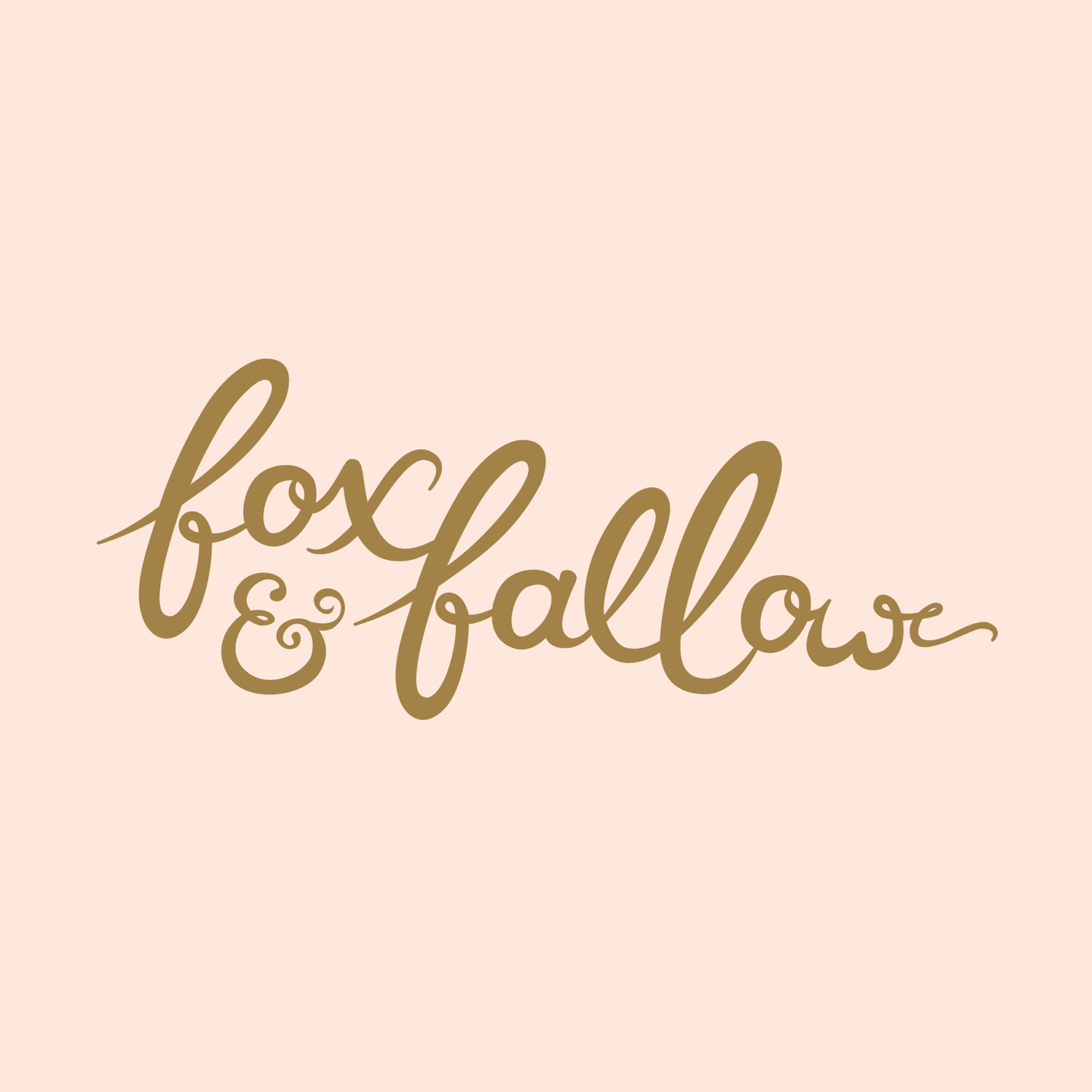 Text reading "fox & fallo" in cursive font on a light pink background.