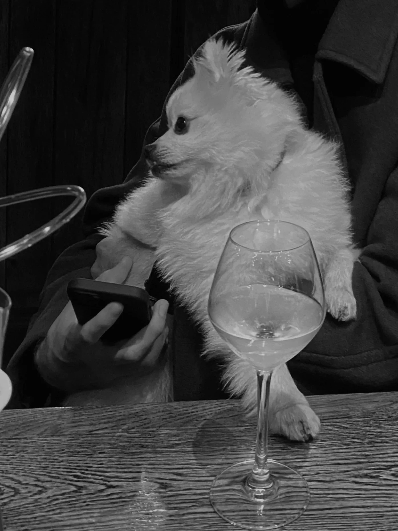 The Boy Who Wanted to Be Warhol