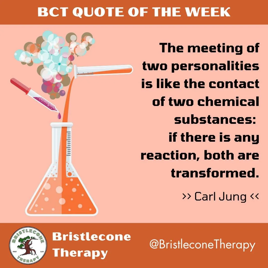 Book an appointment with one of our clinicians to be supported in the transformation: https://www.bristleconetherapy.com