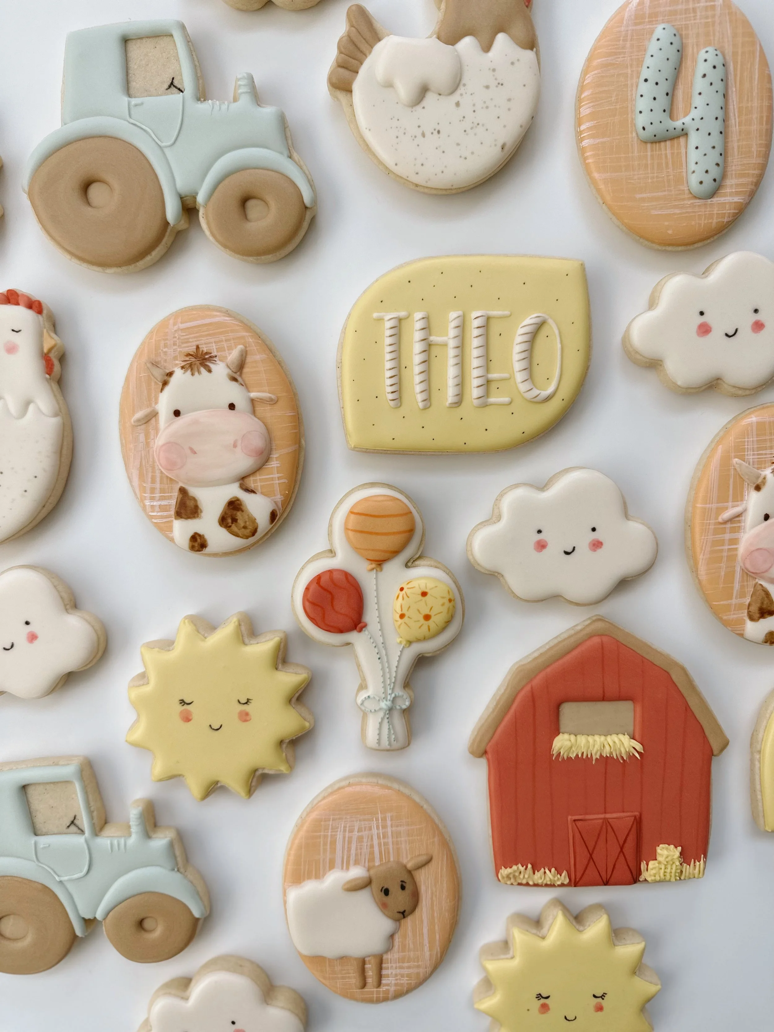 Custom Decorated Cookies Bozeman MT