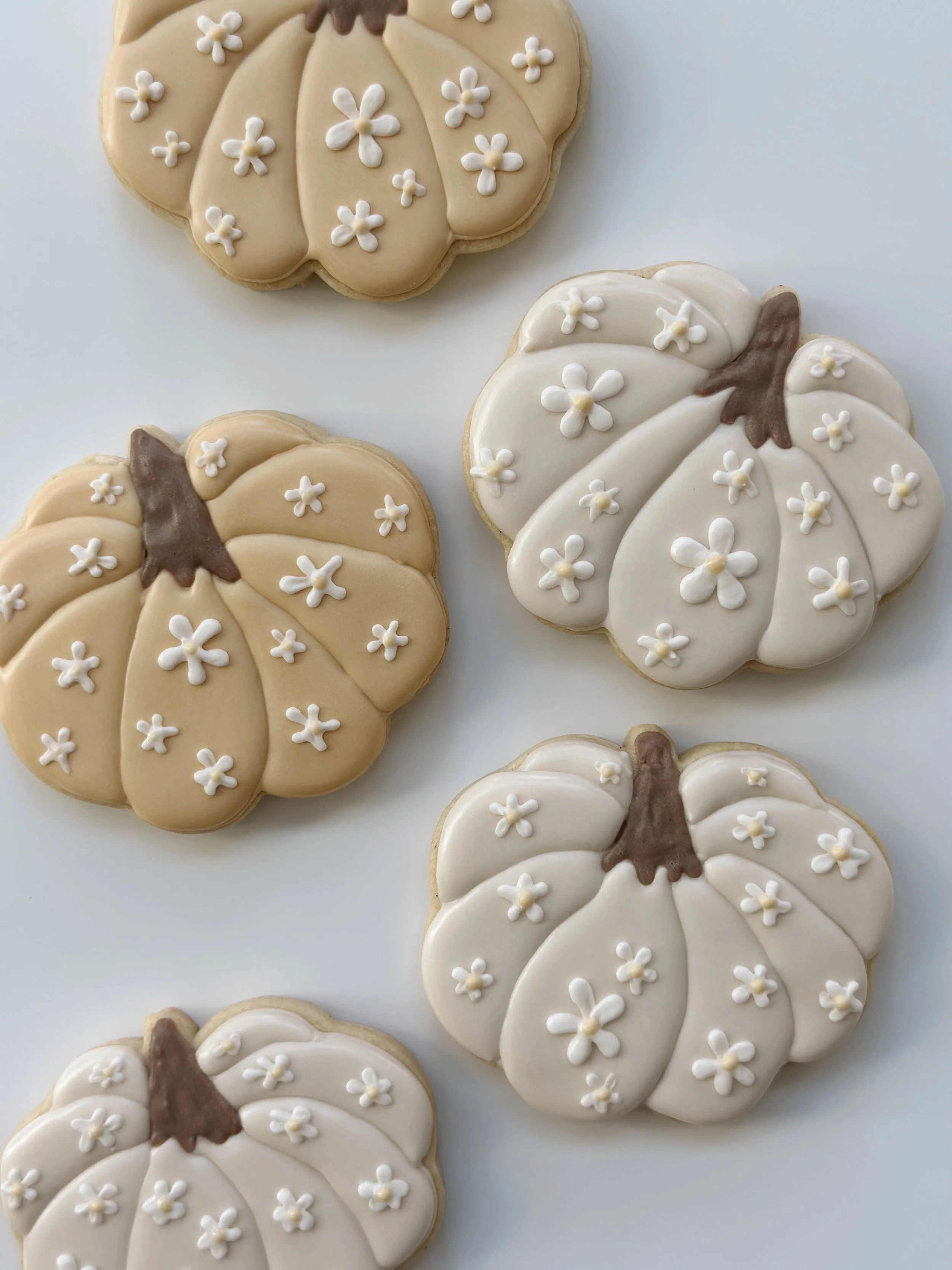 Custom Sugar Cookies Bozeman MT