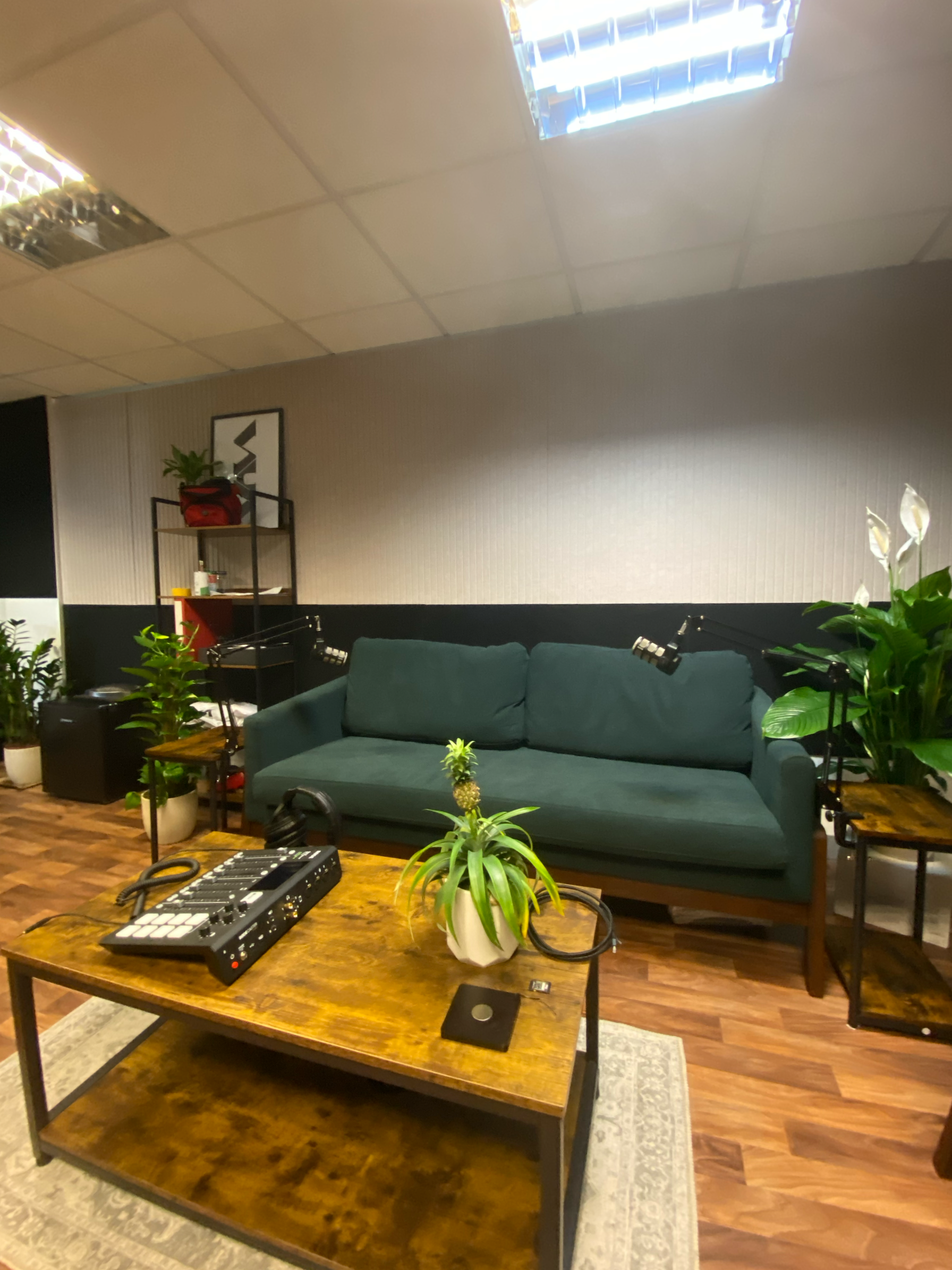 A cozy podcast recording room with a green sofa, a wooden coffee table with a plant and audio equipment, surrounded by potted plants, shelves, and soft lighting.