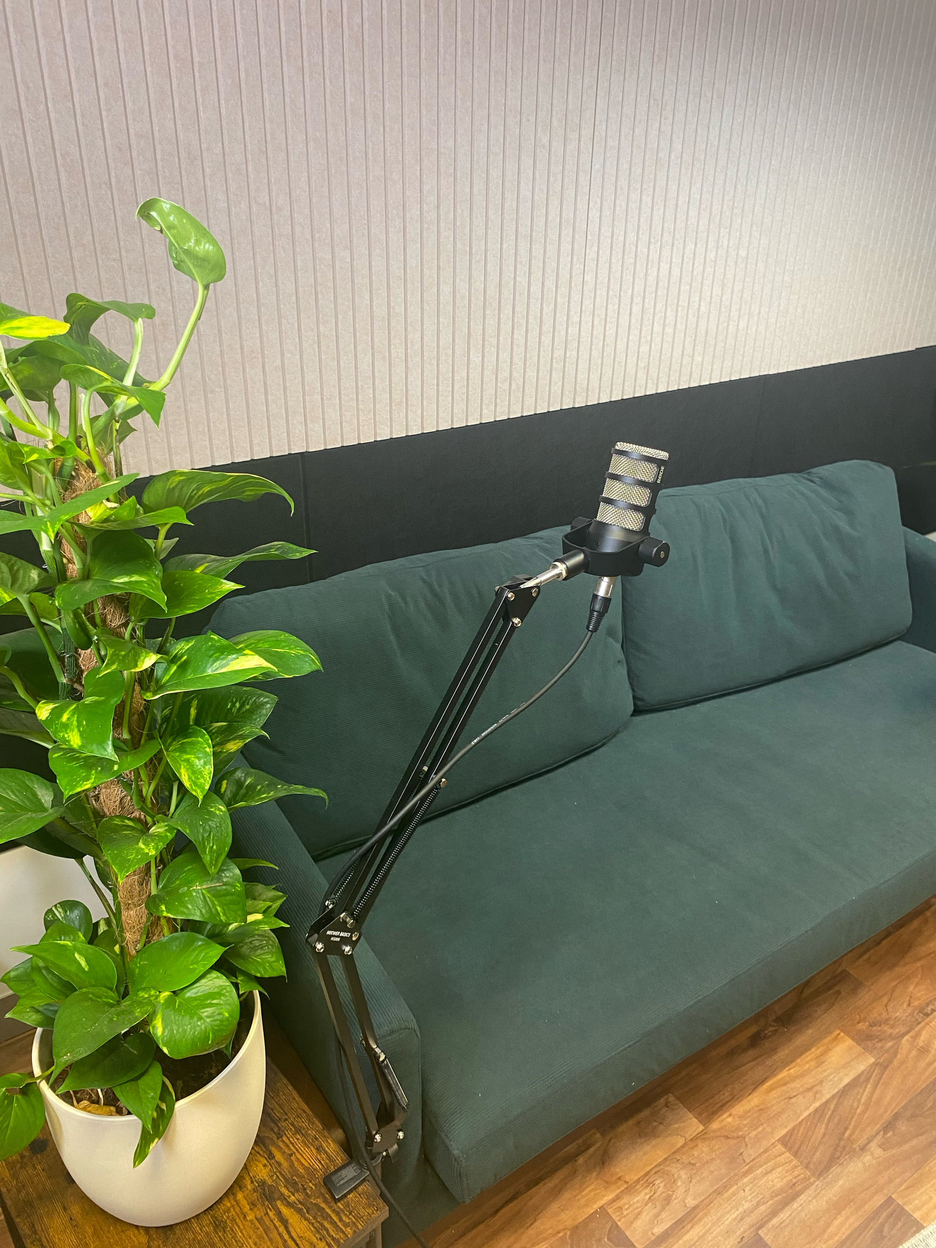 A green sofa with a microphone on a stand and a potted plant on a wooden table in a room with textured beige and black walls.