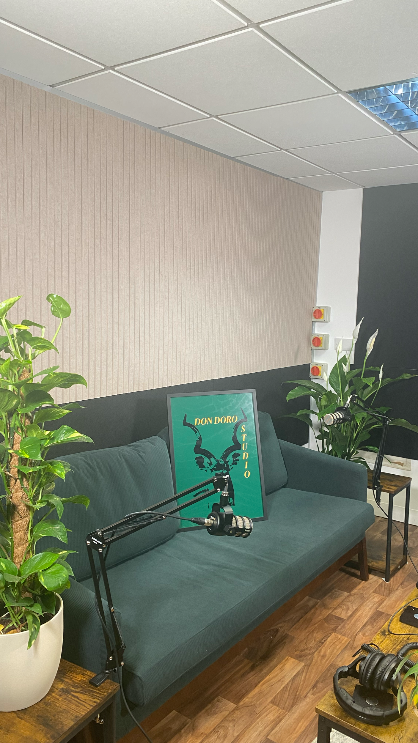 Podcast recording setup in a cozy studio with a teal couch, two microphones on stands, a framed Don Doro Studio poster, and plants in the background.
