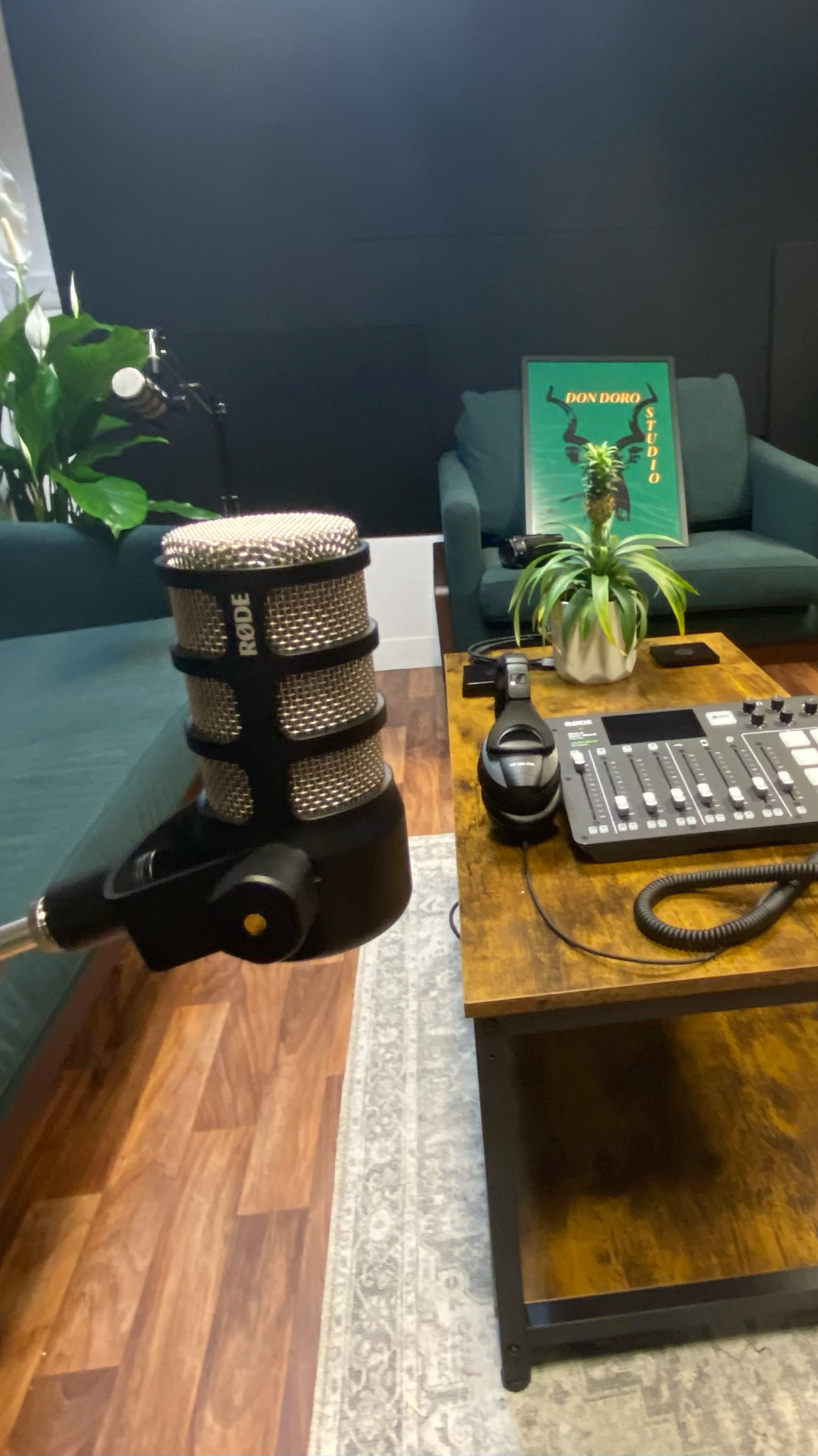 Recording studio setup with a microphone, headphones, DJ controller, plants, and a framed art piece on a table and couch in the background.