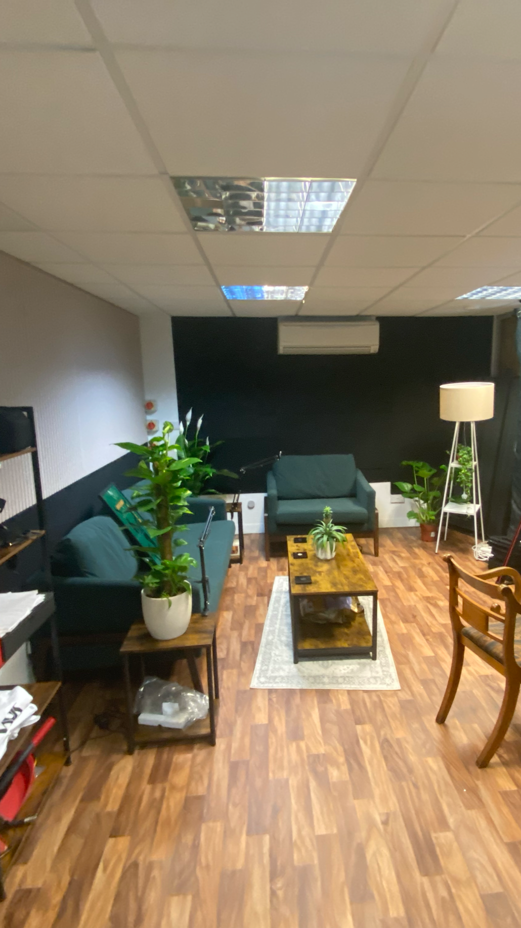 A living room with wood flooring, two green couches, a wooden coffee table with a small plant, a large potted plant, a tall floor lamp, a small side table with a lamp, and a black accent wall with an air conditioner.