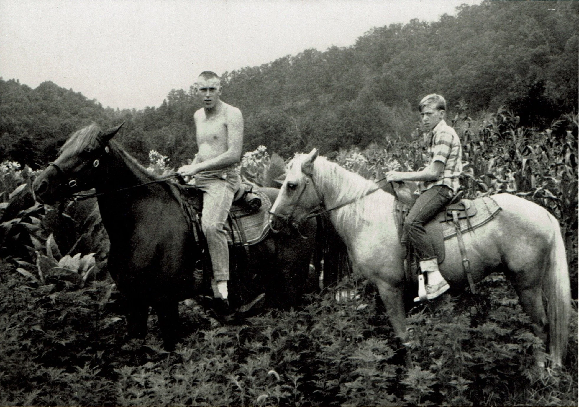 Two boys riding horses in a field of tall plants with hills in the background, black and white photograph.